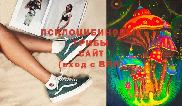 мдпв Богданович