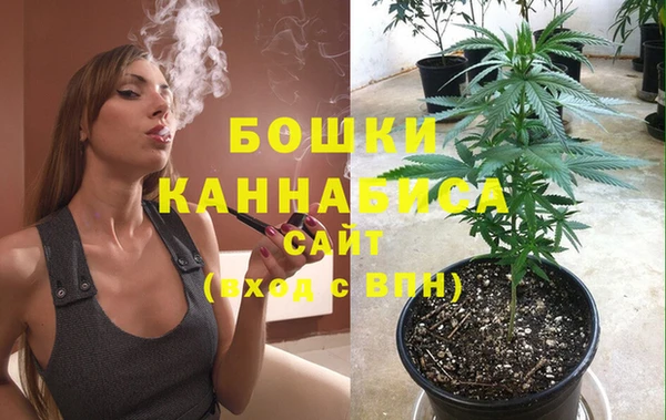 мдпв Богданович