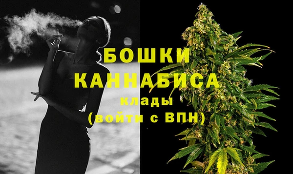 тгк Бородино
