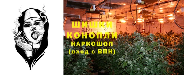 spice Бугульма