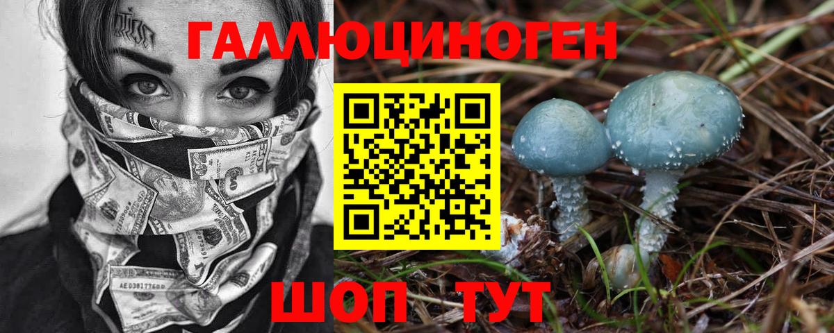 Вятские Поляны  Галлюциногенные грибы GOLDEN TEACHER  Вход с VPN  Псилоцибиновые грибы мицелий 